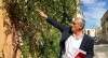 Philippe Saureln le maire de Montpellier, veut développer la végétalisation des rues de sa ville