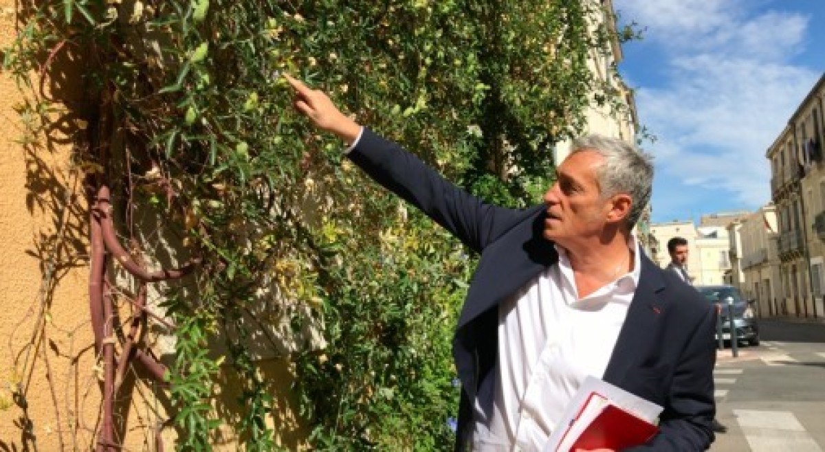 Philippe Saureln le maire de Montpellier, veut développer la végétalisation des rues de sa ville Philippe Saureln le maire de Montpellier, veut développer la végétalisation des rues de sa ville