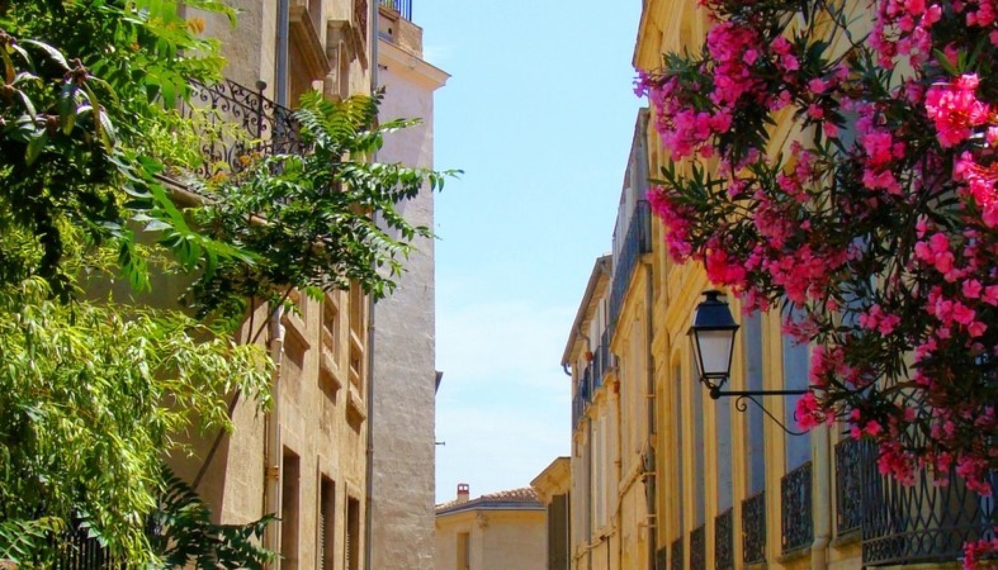 Le permis de végétaliser permet de gagner en couleurs à Montpellier!