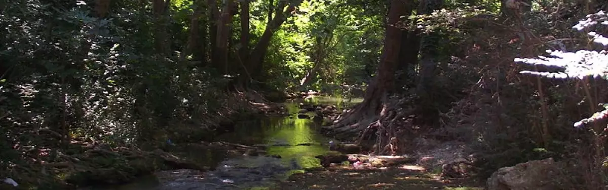 La rivière de la Mosson La rivière de la Mosson