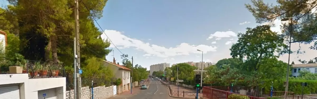 L'avenue du Professeur Louis Ravas L'avenue du Professeur Louis Ravas