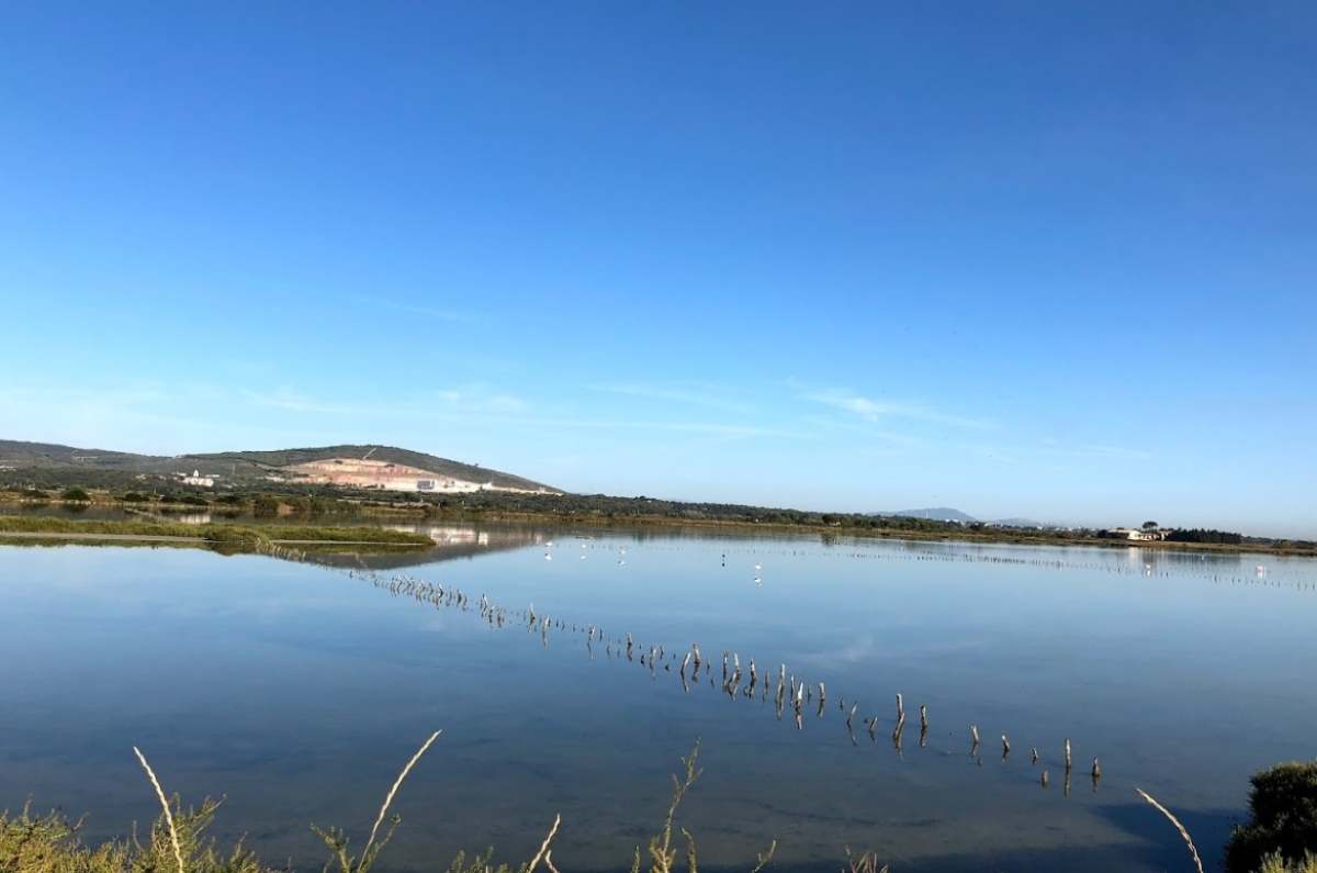immobilier neuf mireval – les salins de Mireval