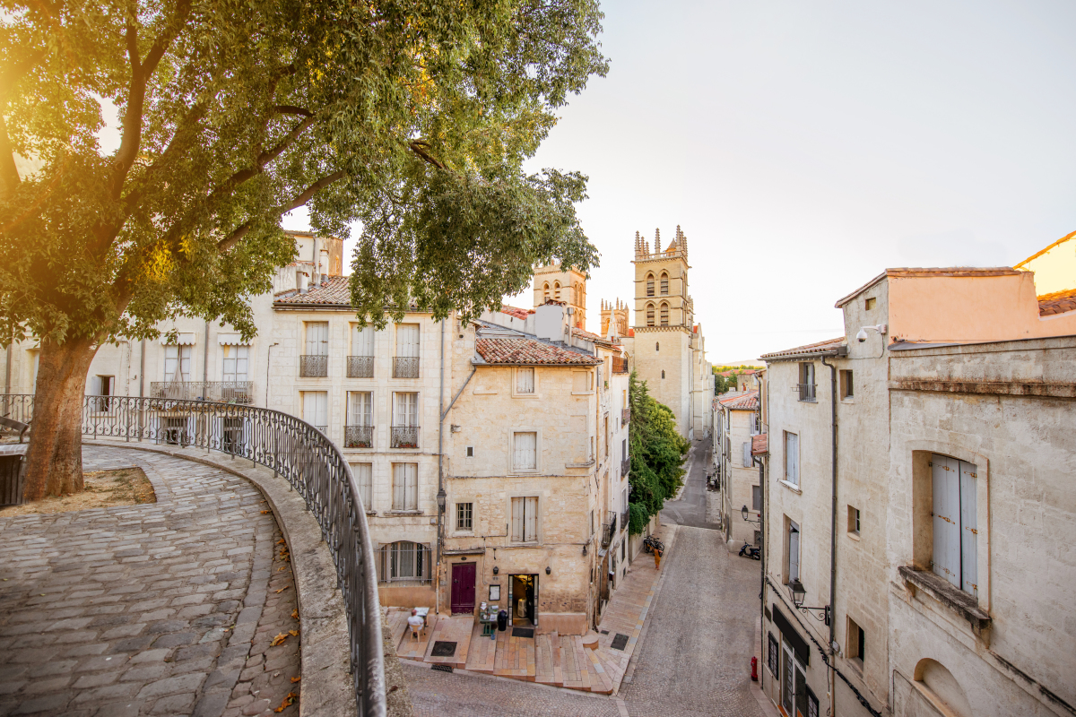 La cathédrale Saint-Pierre à Montpellier