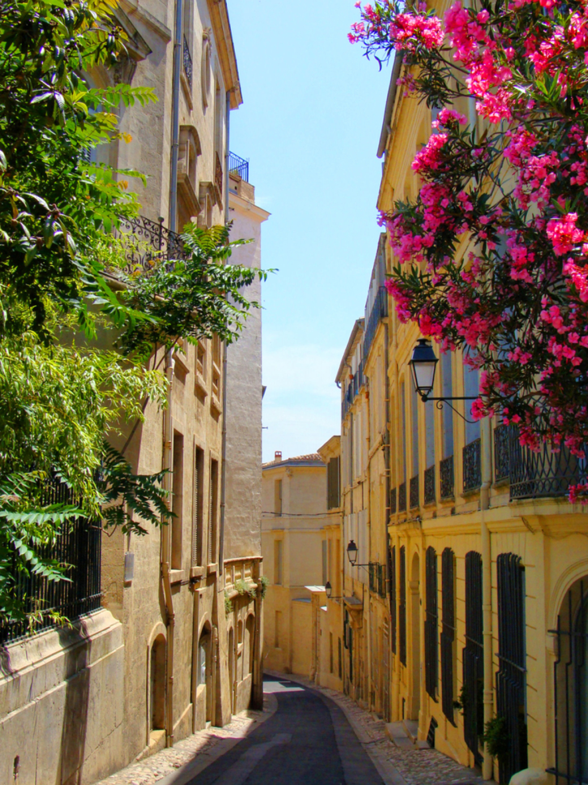 Ruelle de Montpellier fleurie