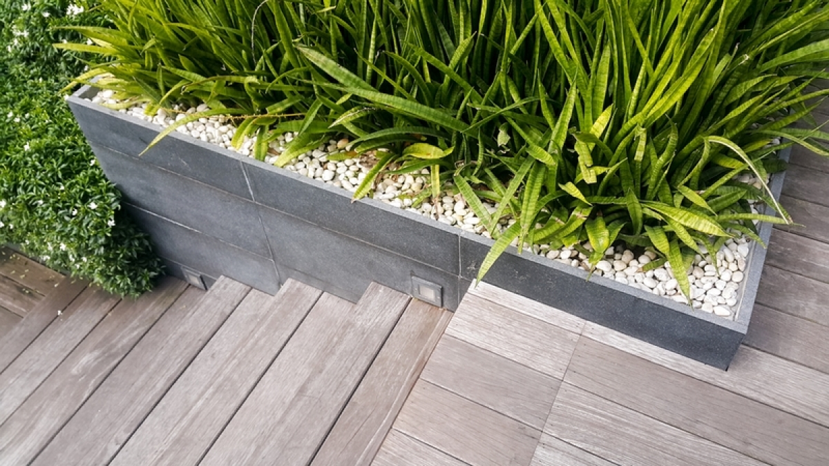 Jardinière en bois avec des plantes parmi des cailloux blancs