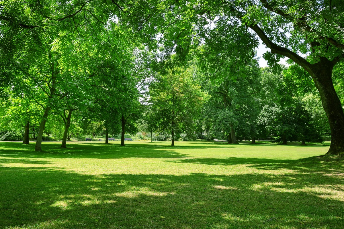 étalement urbain montpellier – une étendue de verdure arborée