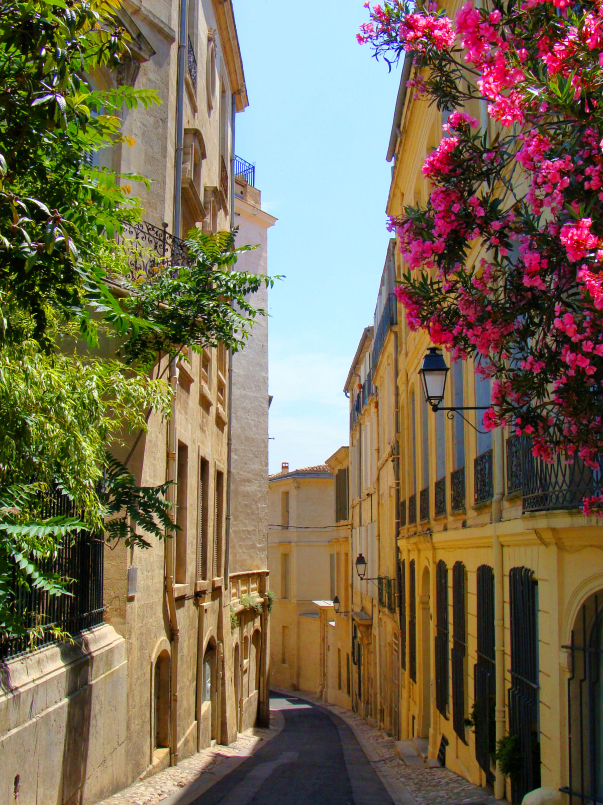 Louer un appartement à Montpellier - Vue d’une ruelle fleurie du centre de Montpellier