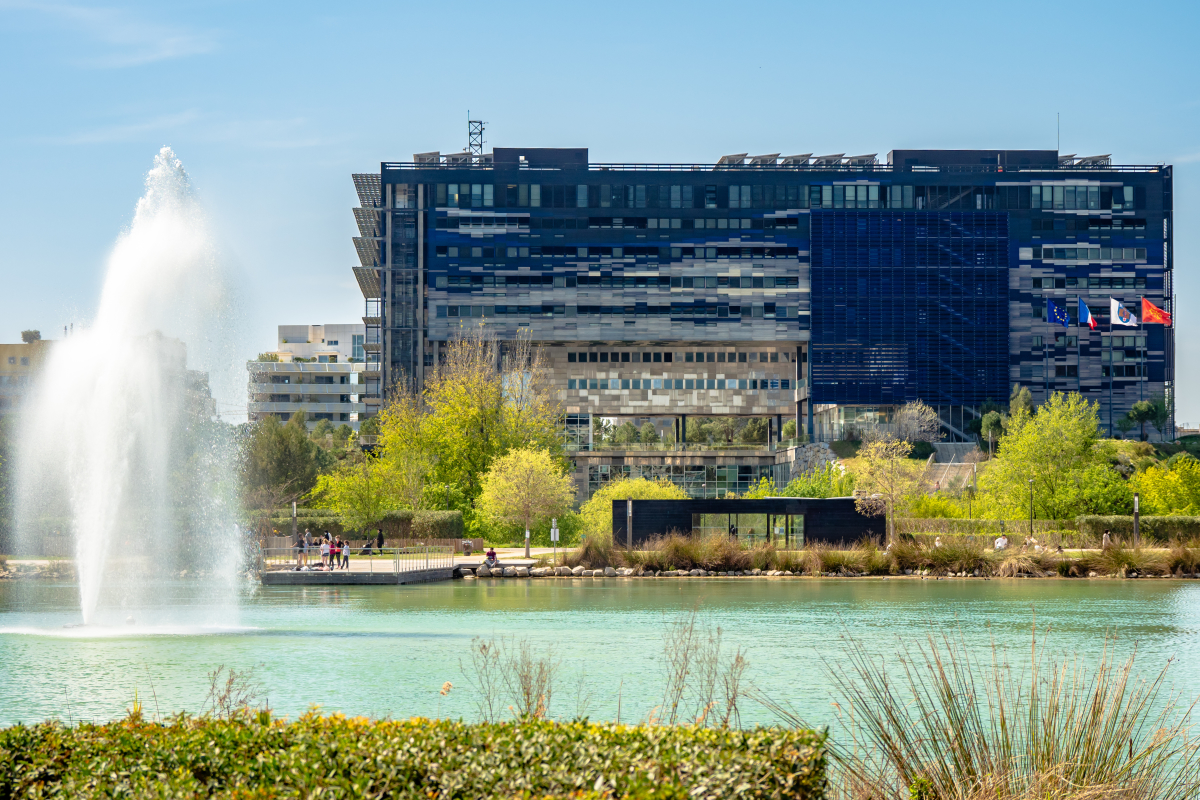 Berges du Lez – L’hôtel de ville de Montpellier