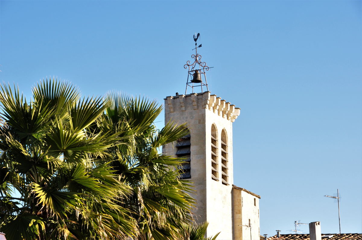 immobilier neuf à Baillargues – vue sur l’Eglise Saint-Julien à Baillargues, à côté d’un
	palmier