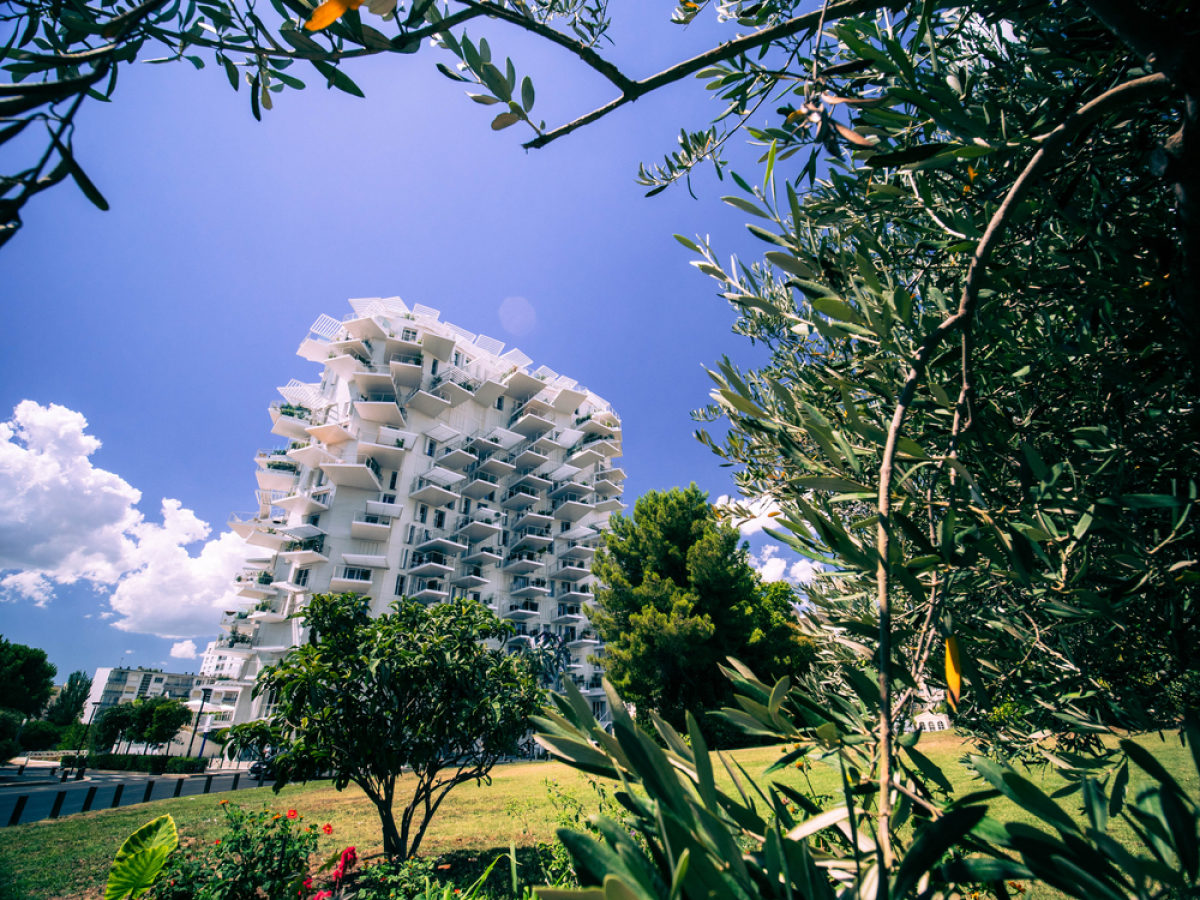 les folies architecturales à Montpellier – vue lointaine sur le batiment l’Arbre Blanc à Montpellier, avec de la végétation en premier plan