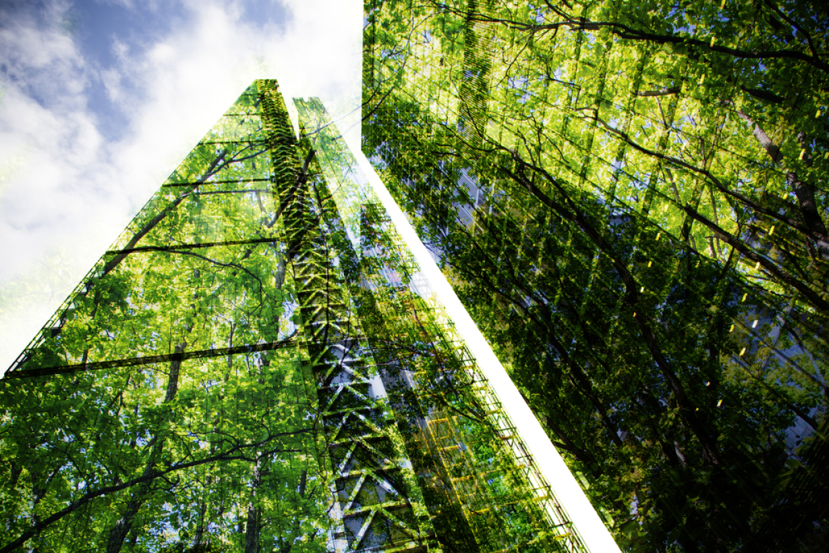 Montpellier s’est inscrite dans la transition énergétique à tous les niveaux Projet urbain Montpellier – vue sur un édifice moderne qui reflète la nature