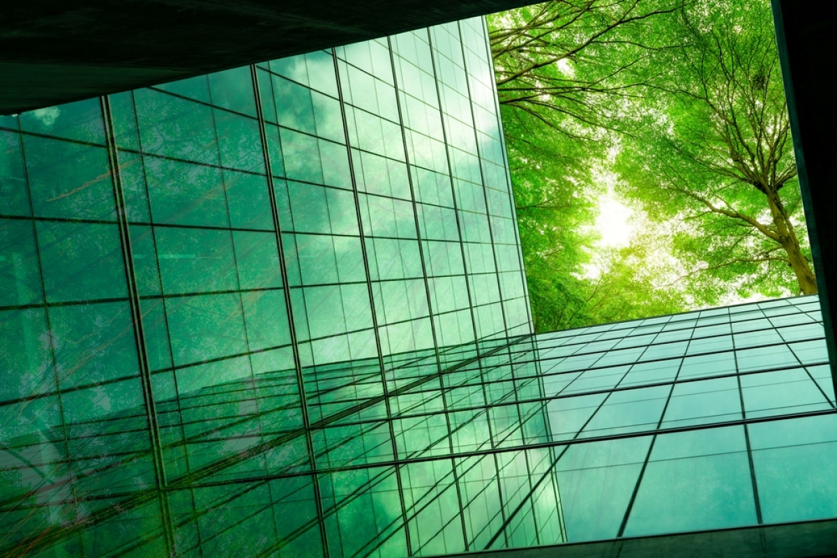 Montpellier parmi les villes les plus vertes de France Classement des villes les plus vertes de France – Vue vers le ciel à partir d’un bâtiment écologique entouré d’arbres