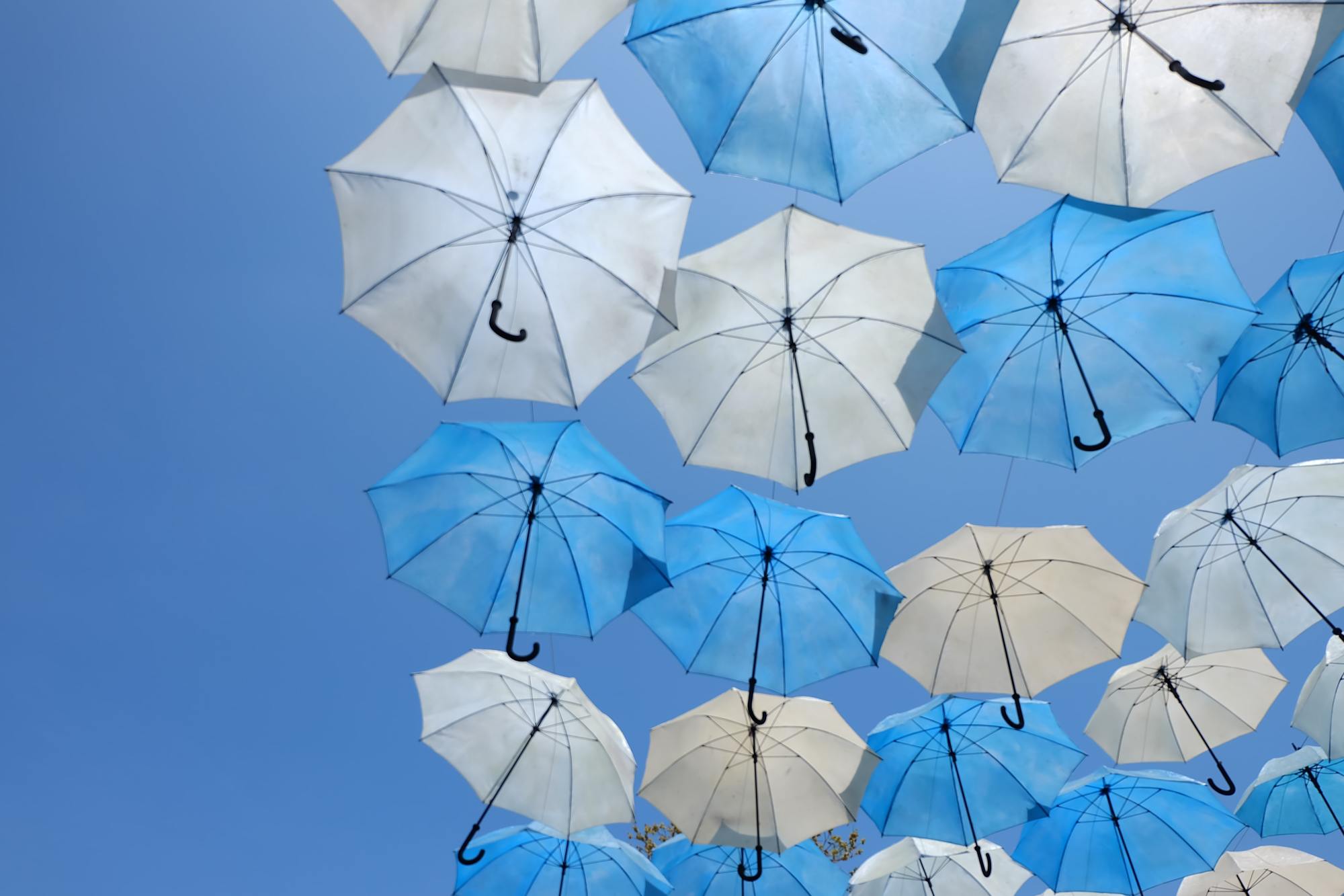 Parapluies sur un ciel bleu