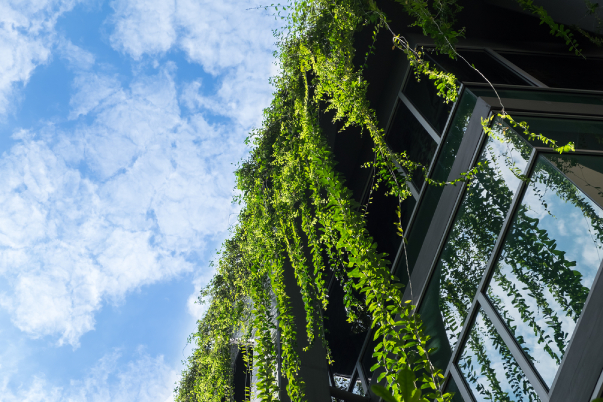 Agriparc Montpellier – Un bâtiment recouvert de verdure