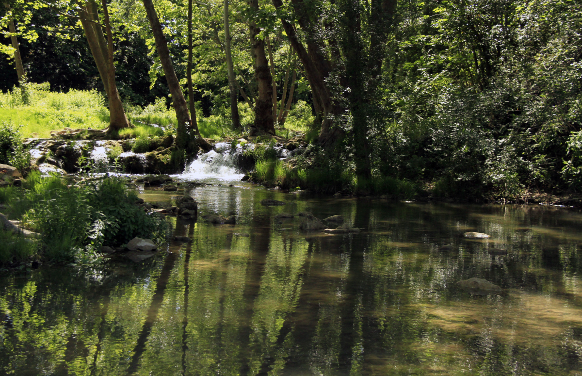 Berges du Lez – Le fleuve du Lez