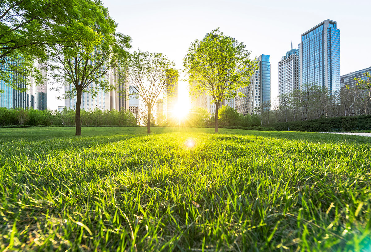 Le NRPNRU reflète également les préoccupations environnementales de l’époque NRPNRU – Un parc verdoyant en milieu urbain