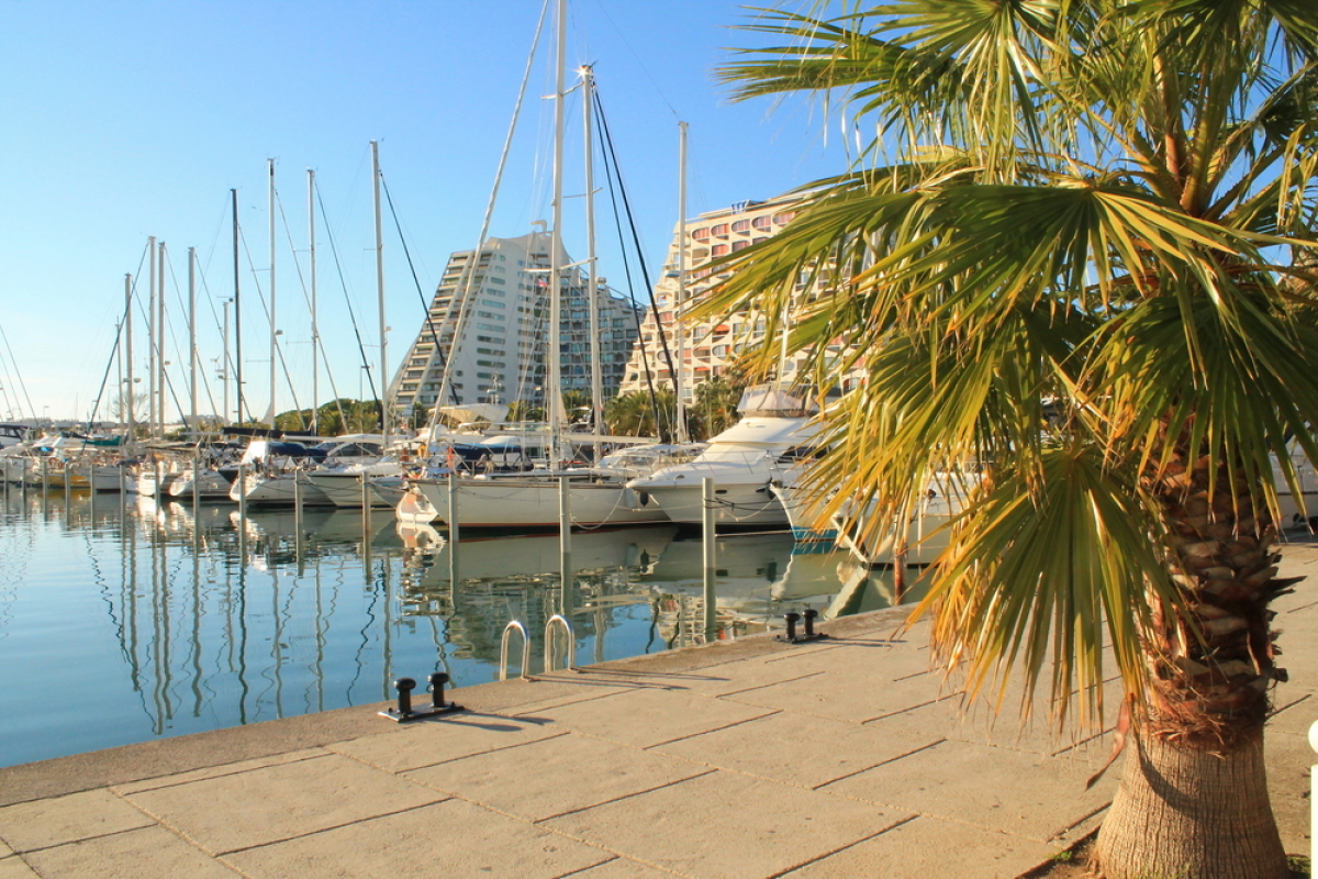  Loi Pinel Mauguio – Un port de plaisance dans le sud de la France 