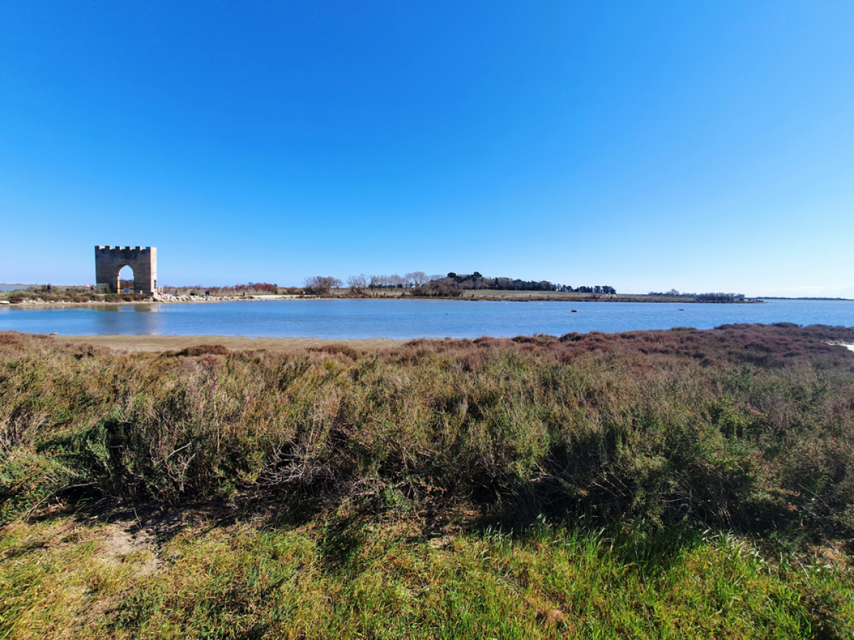  Loi Pinel Villeneuve-lès-Maguelone – l’île et la cathédrale de Villeneuve-lès-Maguelone 