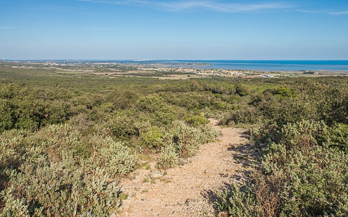  Loi Pinel Fabrègues – les paysages de Fabrègues 