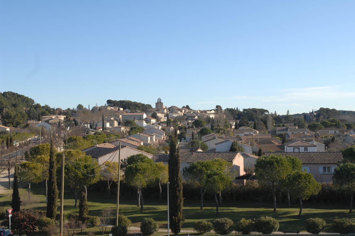 Loi Pinel Clapiers – la forêt de Clapiers