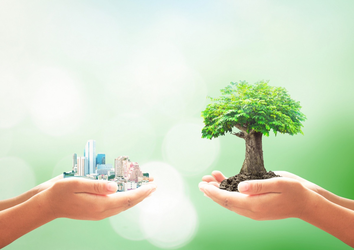 label bas carbone – illustration ville et arbre dans le creux des mains
