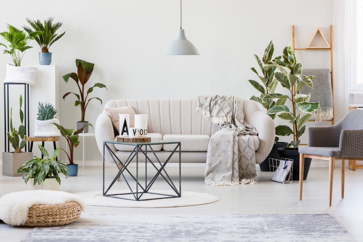 Programme neuf La Superbe : Appartements neufs à Lattes référence 7410, aperçu n°1