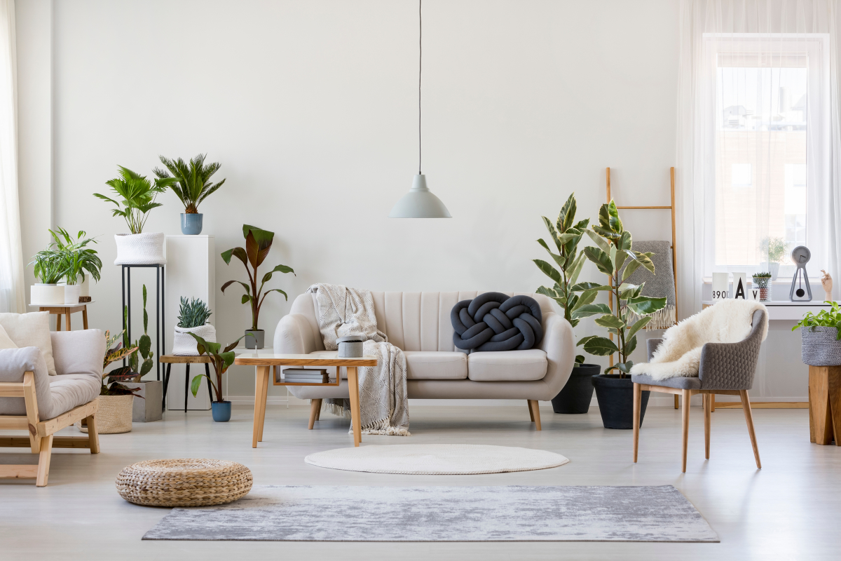 Programme neuf Bellevue St Clair : Appartements neufs à Sète référence 7411, aperçu n°1