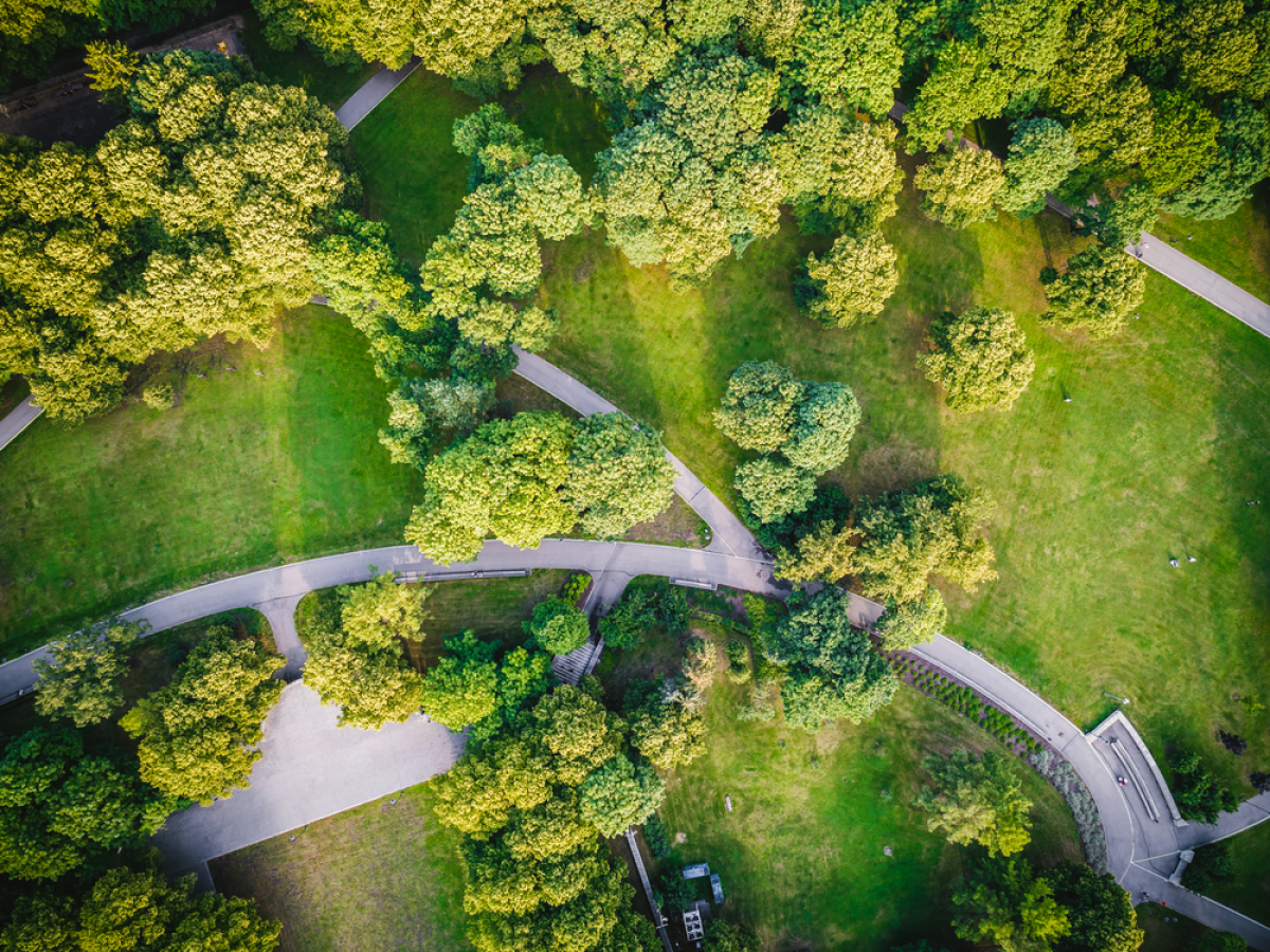 Le Jardin de Saint-Charles sera un coin de nature parsemé d’arbres fruitiers au milieu de la ville site saint-charles à montpellier – un parc urbain aménagé
