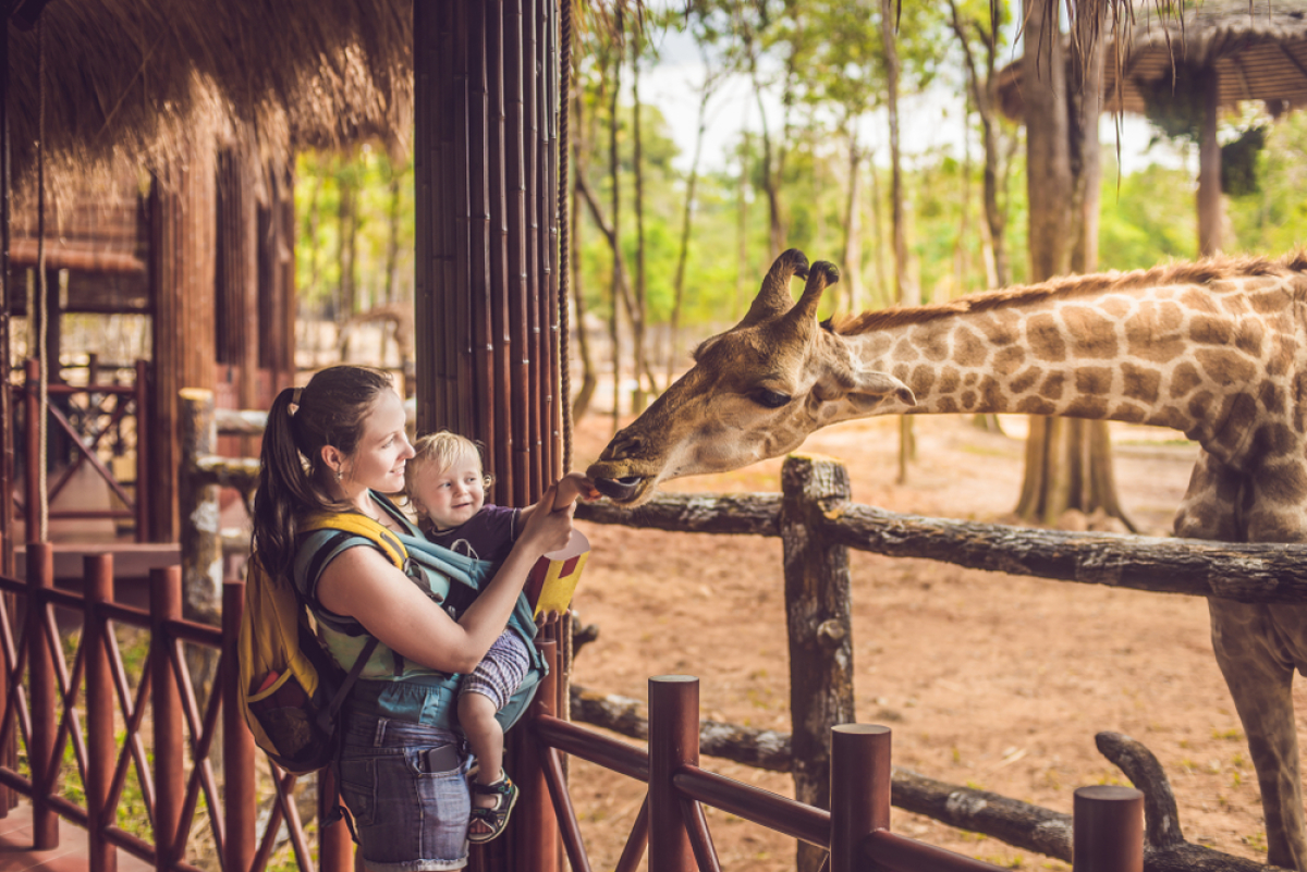 grand parc de lunaret montpellier – une mère et son enfant avec une girafe dans un zoo