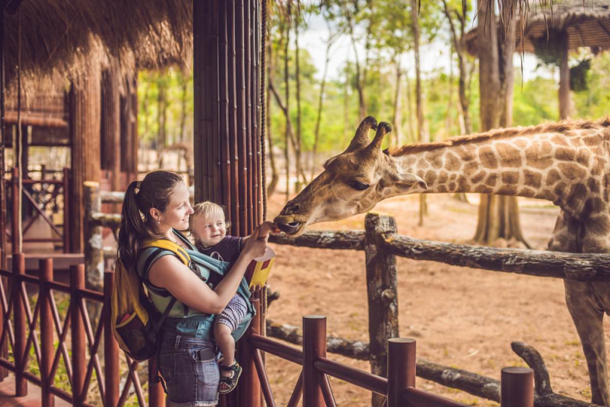 Le parc zoologique de Lunaret est prêt pour sa nouvelle vie grand parc de lunaret montpellier – une mère et son enfant avec une girafe dans un zoo