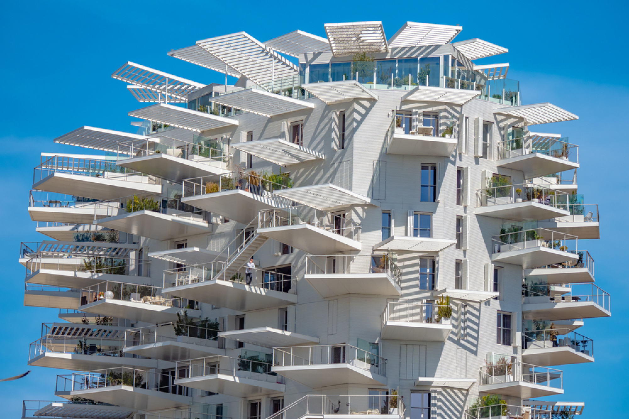 L’Arbre Blanc à Montpellier