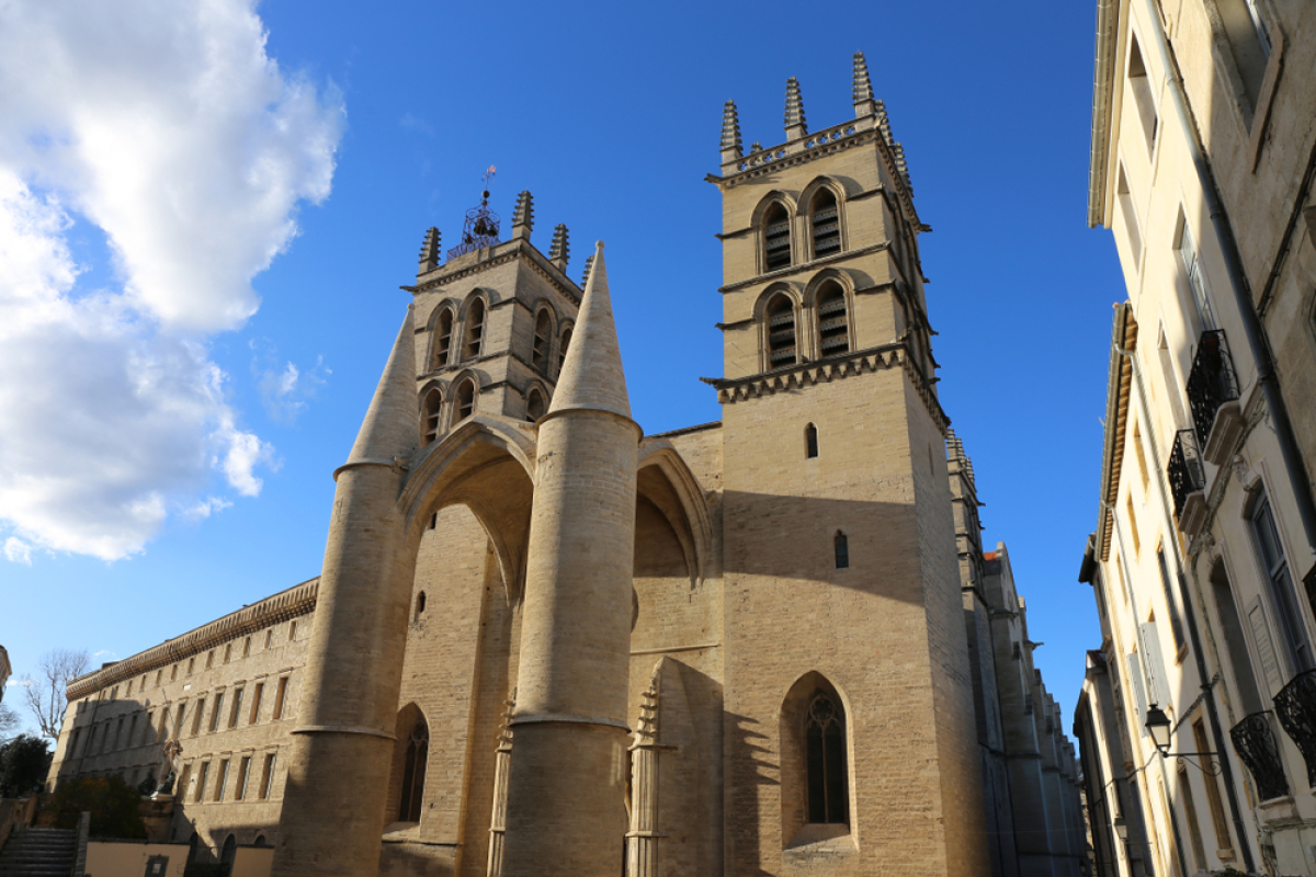 que visiter à Montpellier – la cathédrale st pierre