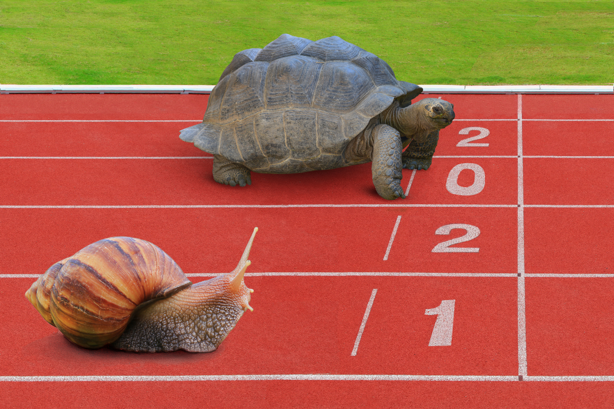 un escargot et une tortue sur une ligne d’arrivée