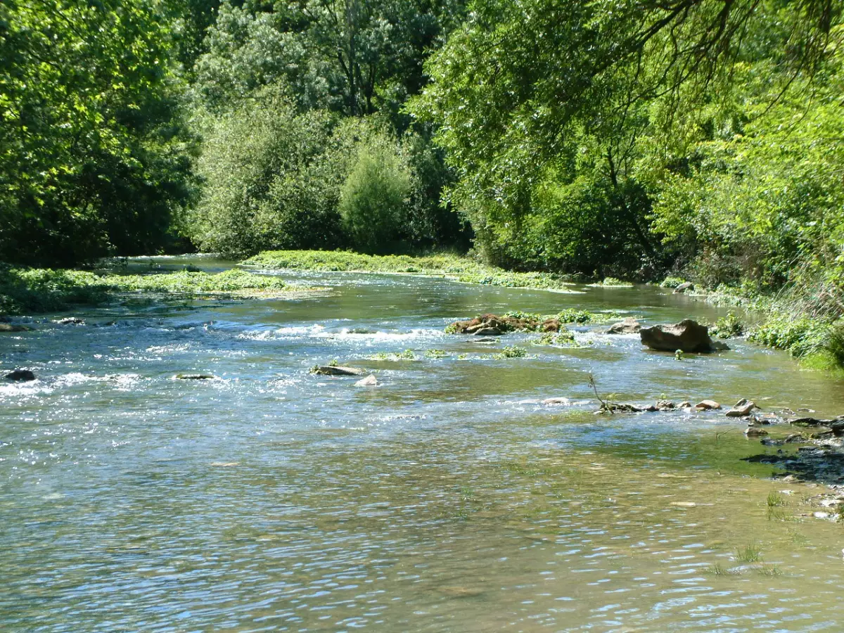 Risque inondation à Montpellier : que vérifier avant d'acheter ?