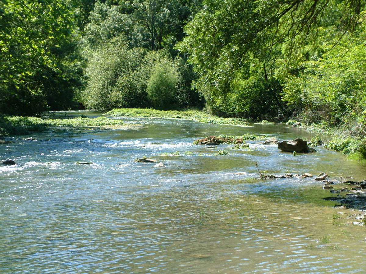 immobilier neuf à Saint-Clément-de-Rivière – le Lez et l’espace naturel qui l’entoure