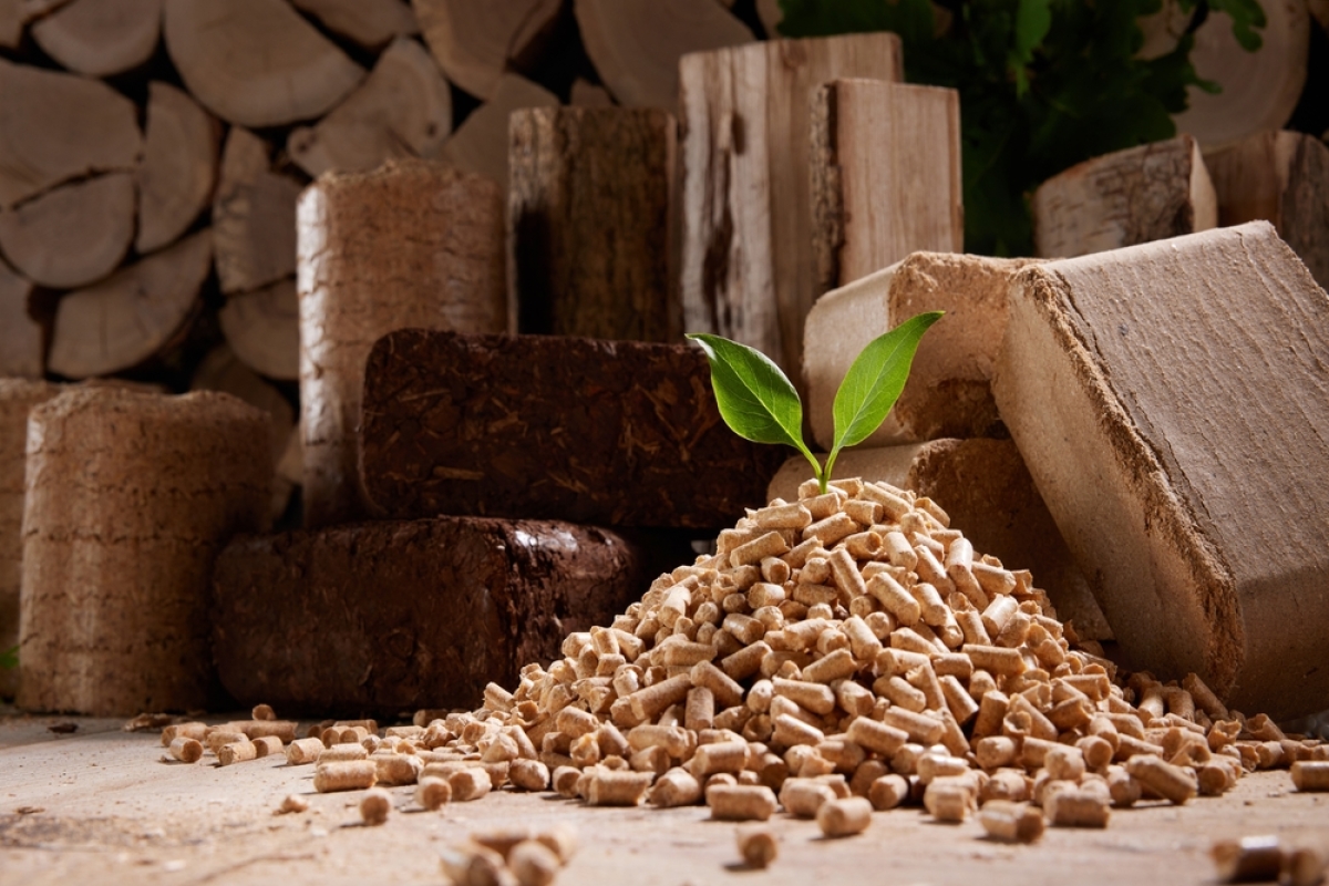 Les pellets de bois sont utilisés comme combustible pour ce type de chaufferie réseau de chaleur nord alco montpellier – un tas de pellets de bois avec deux feuilles qui en sortent