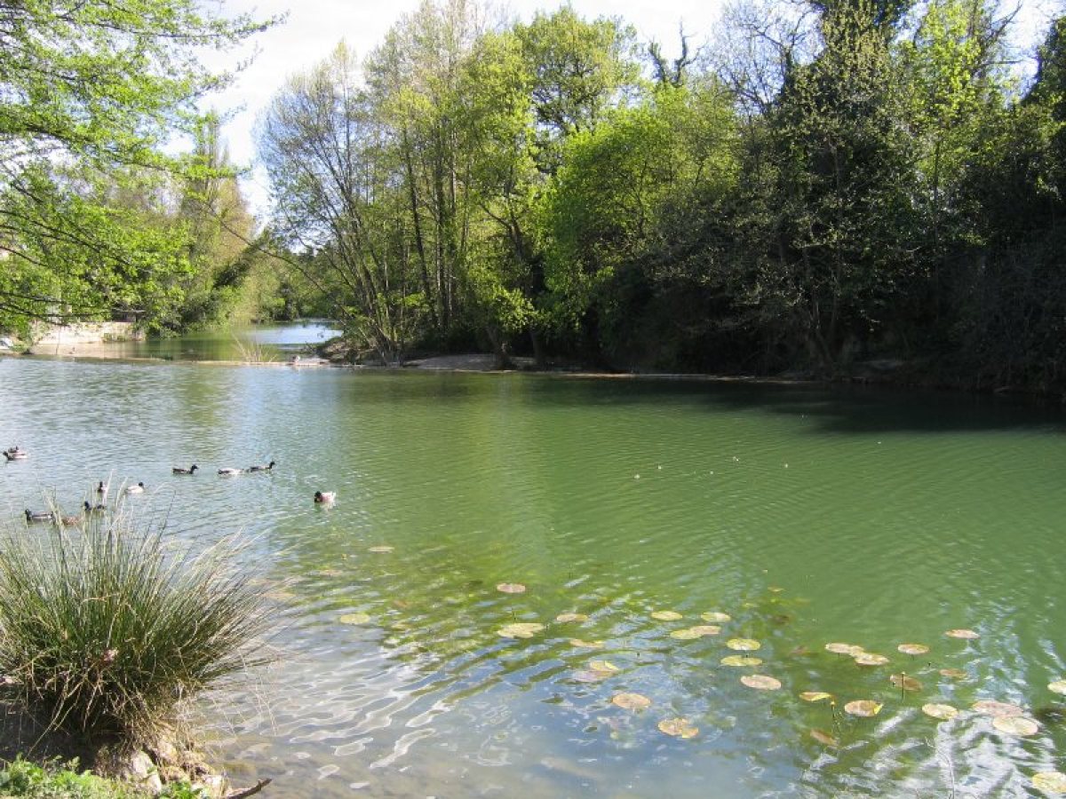 Castelnau-le-Lez dispose d’un très beau patrimoine naturel à préserver castelnau le lez label territoire engagé pour la nature – la rivière du Lez et ses berges arborées