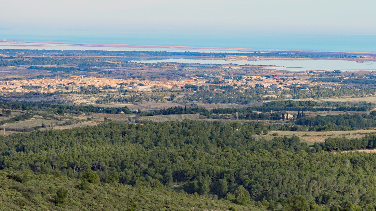 Vue sur la ville de Sigean