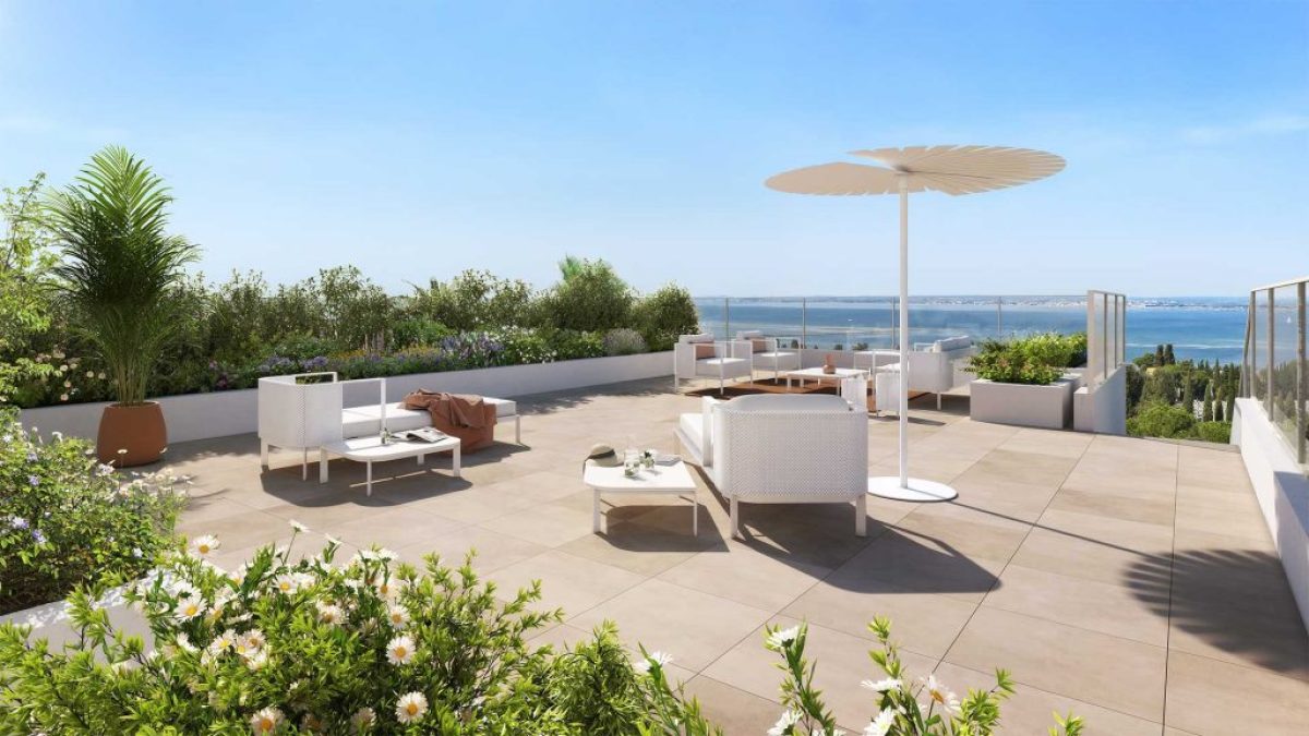 Programme neuf Singulière : Appartements neufs à Sète référence 7542, aperçu n°7