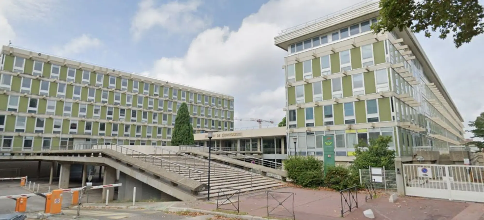 friche groupama Montpellier